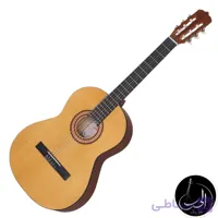 گیتار پارسی مدل d3