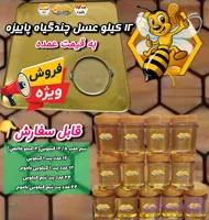 عسل چندگیاه پاییزه.دشتی.۱۳ کیلو به قیمت عمده (خرید مستقیم از زنبوردار) ارسال رایگان