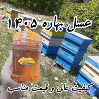 عسل بهاره 1 کیلو برداشت 1405 ساده و موم دار (خرید مستقیم از زنبوردار)ارسال رایگان با ۳م خرید