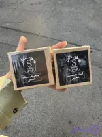 ابنبات جنسینگ