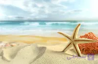 پوستر دیواری ساحل آرام و ستاره دریایی – طرح منظره سه‌بعدی