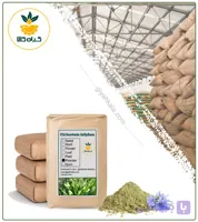 پودر برگ کاسنی فله