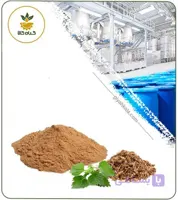 عصاره گزنه خشک (پودری)