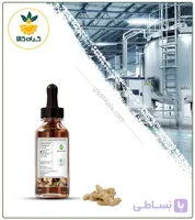 طعم دهنده زنجبیل دارویی