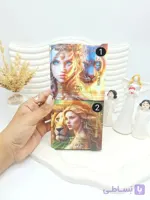 پالت سایه کتابی کوچک طرح شیر و زن برند Miss Vanessa کد 7006