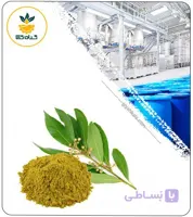 عصاره برگ بو خشک (پودری)