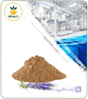 عصاره زوفا خشک (پودری)