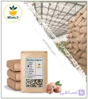 میوه جوز هندی خشک فله