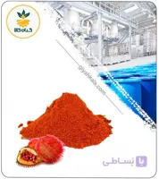 رنگ نارنجی هویج بتاکاروتن پودری (خوراکی و کاملا طبیعی)