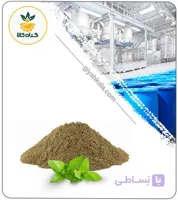 عصاره نعناع دشتی خشک (پودری)