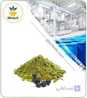 عصاره مورد خشک (پودری)