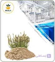 عصاره پوست اسفرزه خشک یا پودری