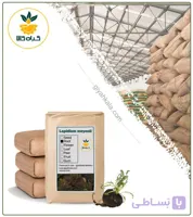 گیاه ماکا خشک فله