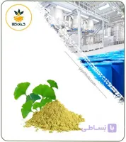 عصاره جینکو بیلوبا خشک (پودری)