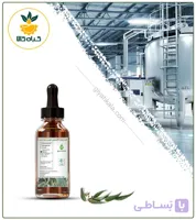 طعم دهنده اکالیپتوس دارویی
