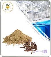عصاره اسارون خشک (پودری)