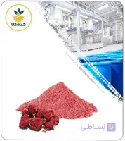 عصاره گلنار فارسی خشک (پودری)