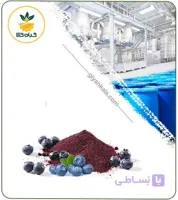 عصاره بلوبری خشک یا پودری