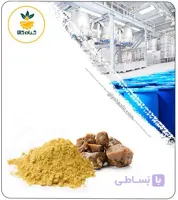 عصاره صمغ آنغوزه خشک یا پودری
