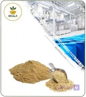 عصاره کینوا خشک یا پودری