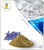 عصاره گل گاوزبان خشک (پودری)