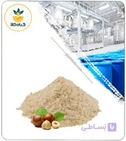 عصاره فندق خشک (پودری)