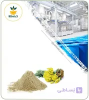عصاره بومادران (گل) خشک یا پودری