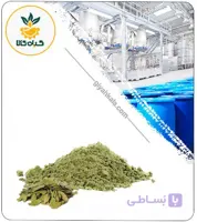 عصاره علف خرس خشک یا پودری