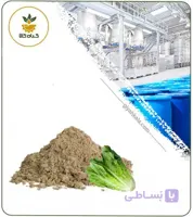 عصاره کاهو خشک یا پودری