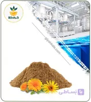عصاره آرنیکا خشک (پودری)