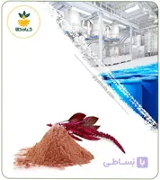 عصاره تاج خروس خشک یا پودری