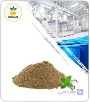 عصاره پونه خشک یا پودری