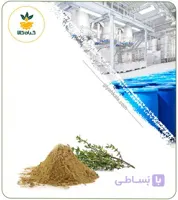 عصاره آویشن باغی خشک یا پودری