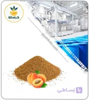 عصاره هسته زردآلو خشک یا پودری