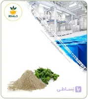 عصاره فلفل سبز خشک یا پودری