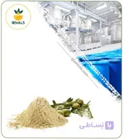 عصاره برگ زیتون خشک یا پودری
