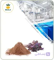عصاره ریحان خشک یا پودری