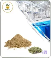عصاره عدس الملک خشک یا پودری