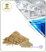 عصاره مصطکی خشک یا پودری