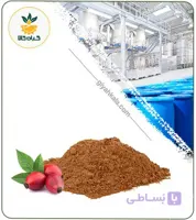 عصاره میوه نسترن خشک (پودری)