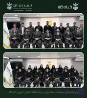 طعم دهنده گشنیز دارویی