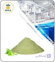عصاره کرفس خشک (پودری)
