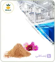 عصاره ختمی رنگی خشک یا پودری