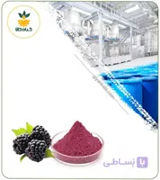عصاره تمشک خشک یا پودری