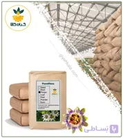 گل ساعتی خشک فله