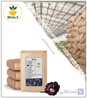 گل ختمی رنگی خشک فله