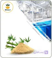 عصاره بامبو خشک (پودری)