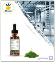 طعم دهنده شوید دارویی