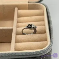 پیرسینگ حلقه ای گوش کد 2050