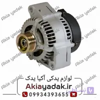 دینام شاهین